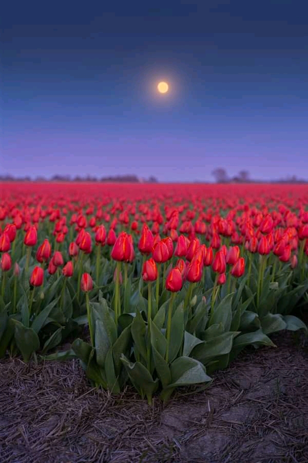 Beautiful Nature.