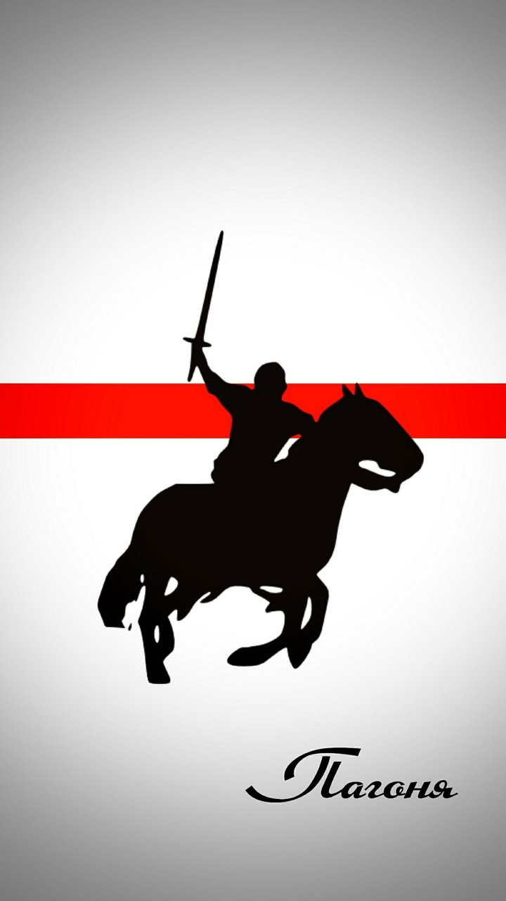 True flag of Belarus and national emblem.