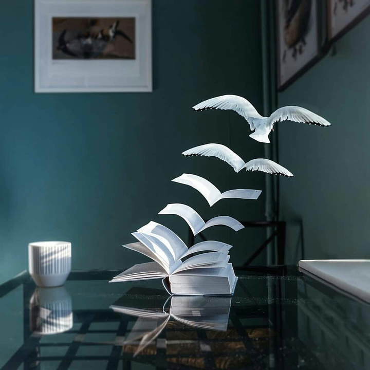 flying book