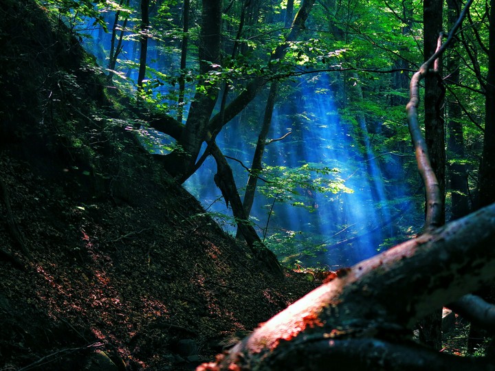 Romania