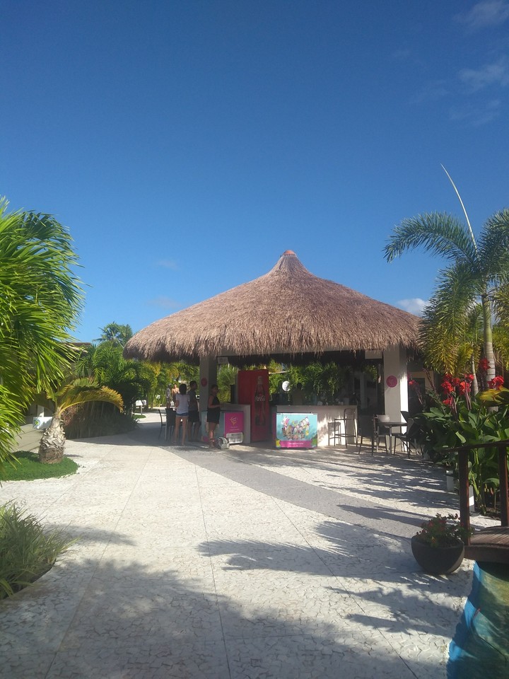Praia Maragogi