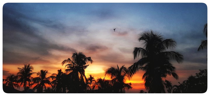 THE DUSKY SKY