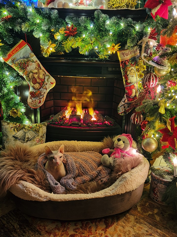 christmas