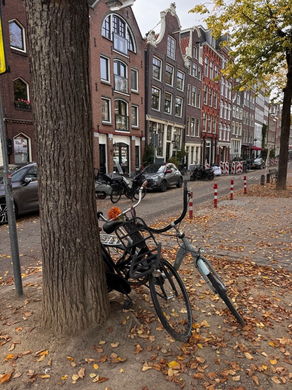 fondos de pantalla bicycle, tire