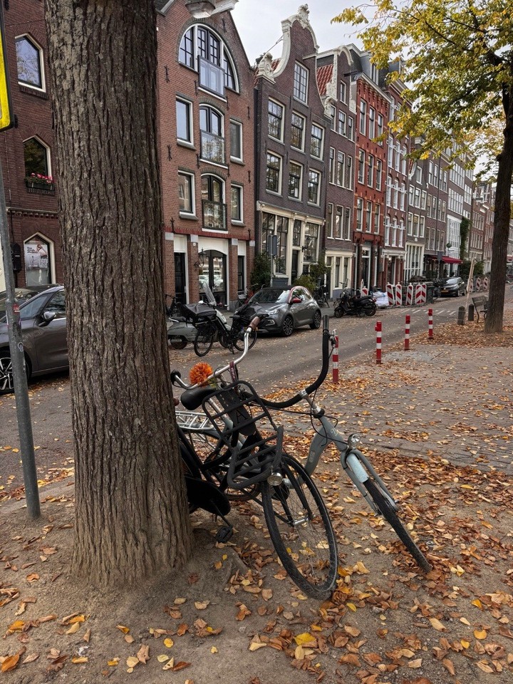 sfondi Wheel, vehicle