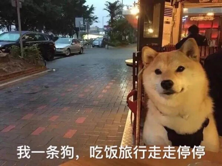 狗