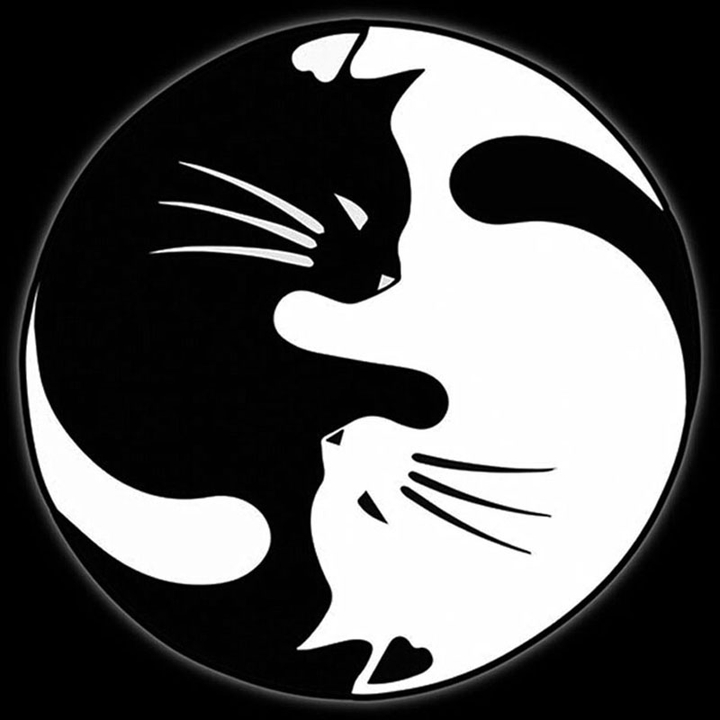 YingYang