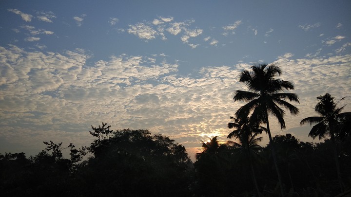 Breaking dawn