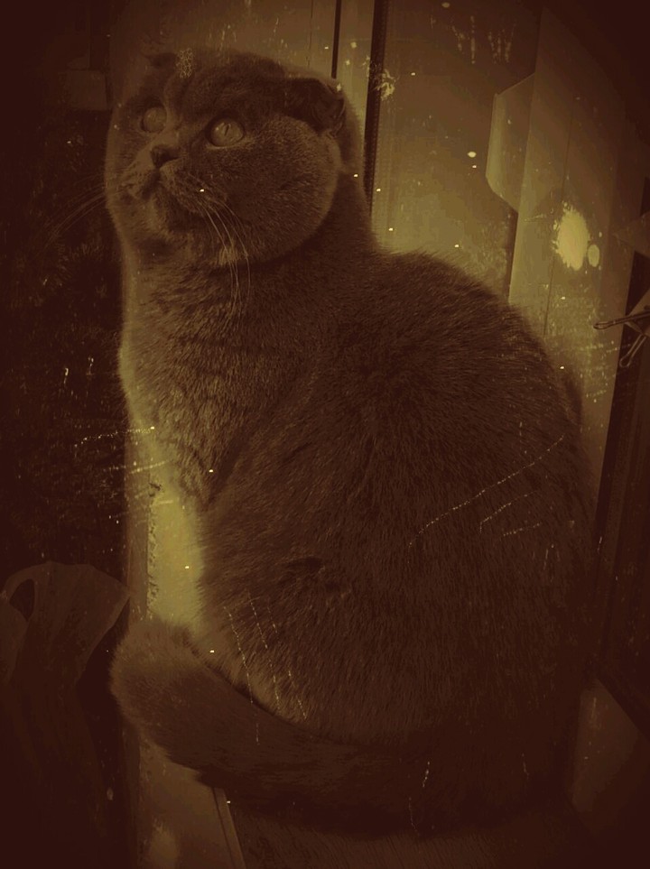 MATVEY