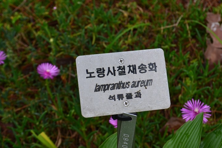 안면도이미지
