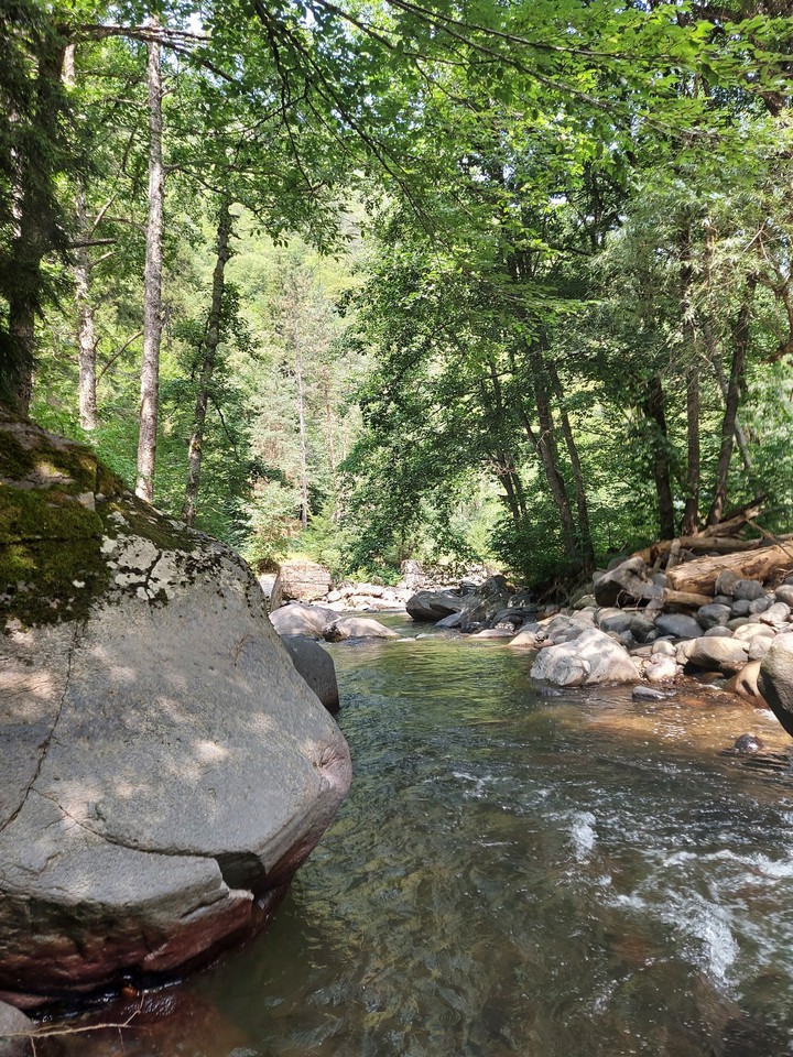 Nature