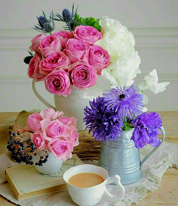 #flower#fascinating#pink#peace#spread love#spread happiness
