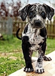 ♥️♥️♥️