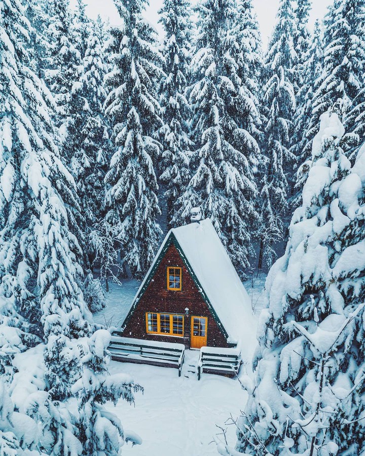 ●■●■●■