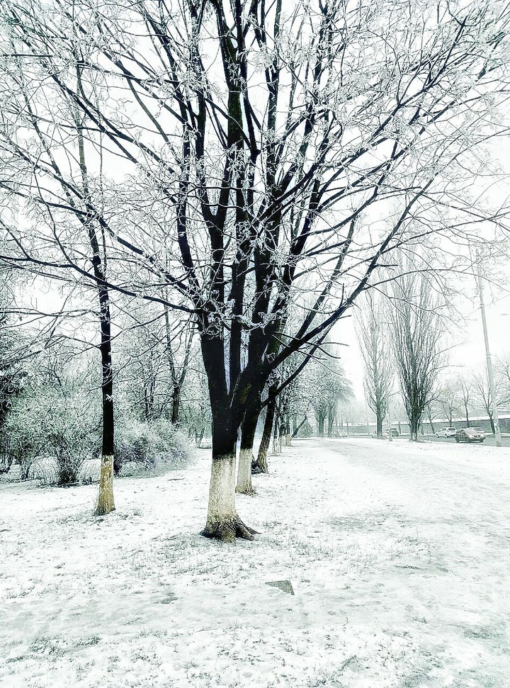 winter