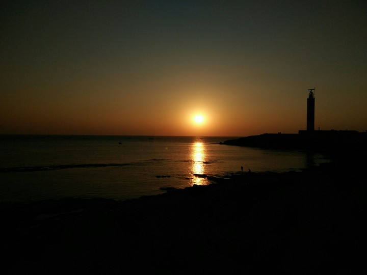 blooming sunset
