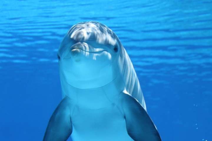 pure beauty.