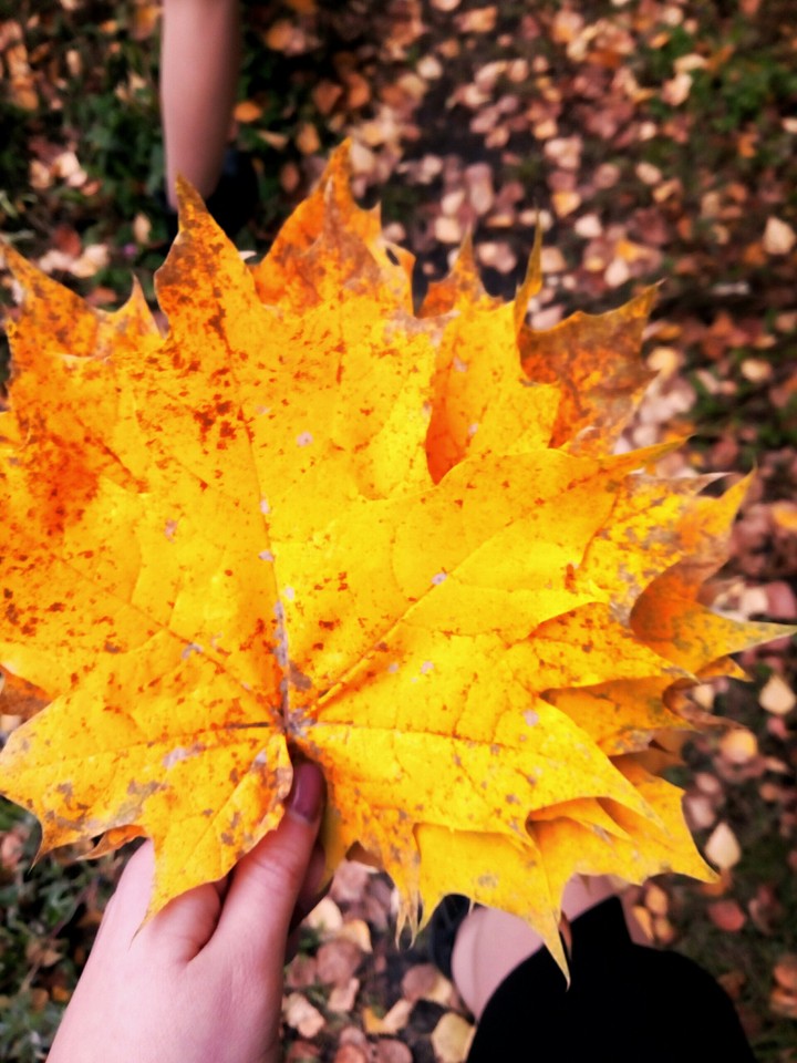 autumn