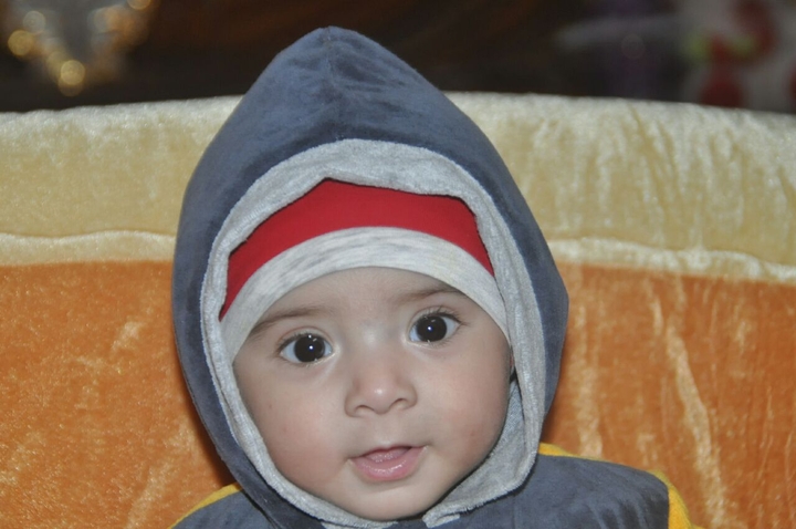 Ameer