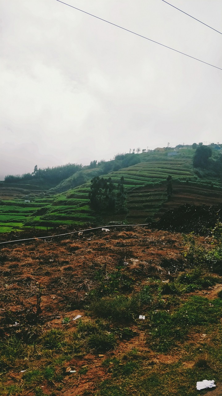 landscapes