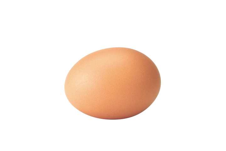 음식이미지