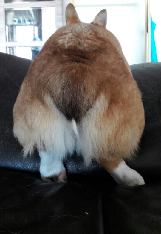 ×)