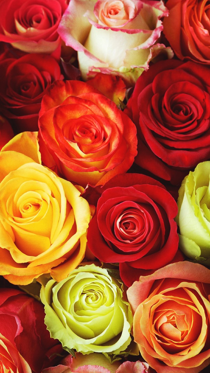 FLOWERS