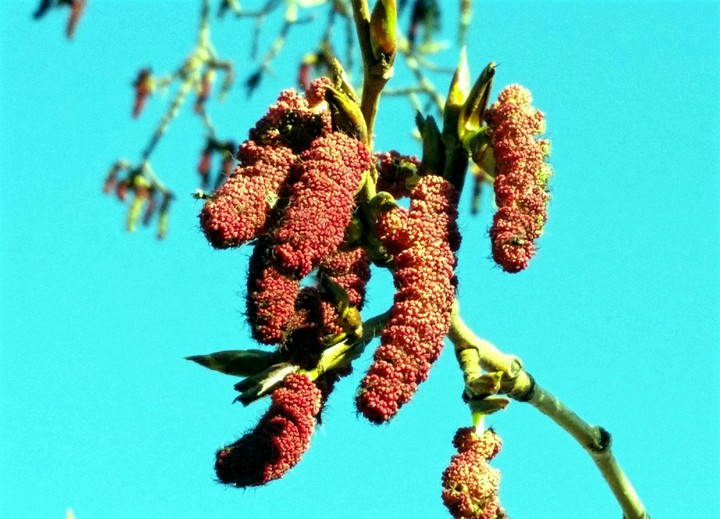 spring mood