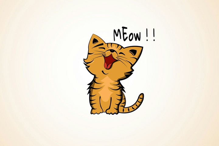 Meow!!