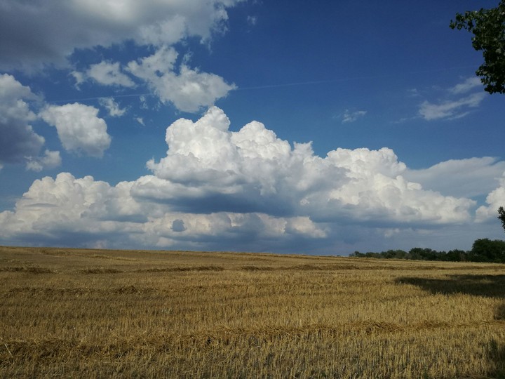 field
