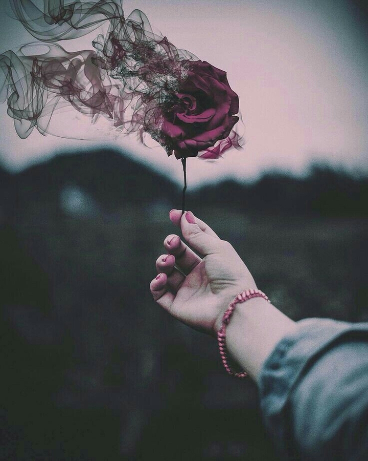 rose