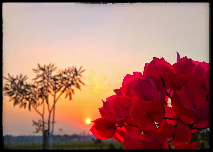 sunrise