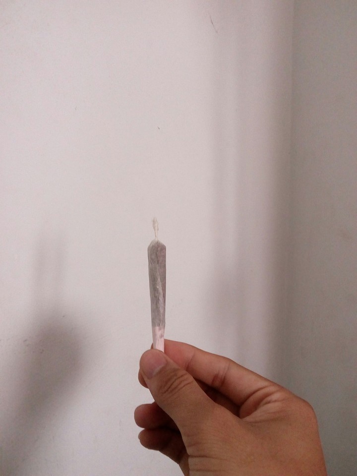 Canabis