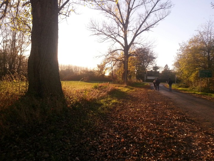 Autumn