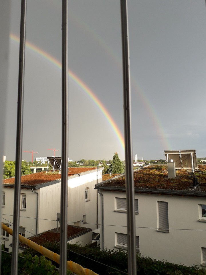 rainbow