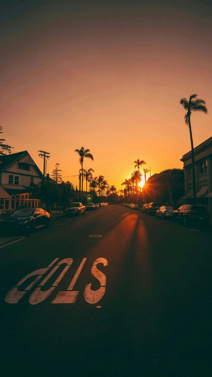 sunset