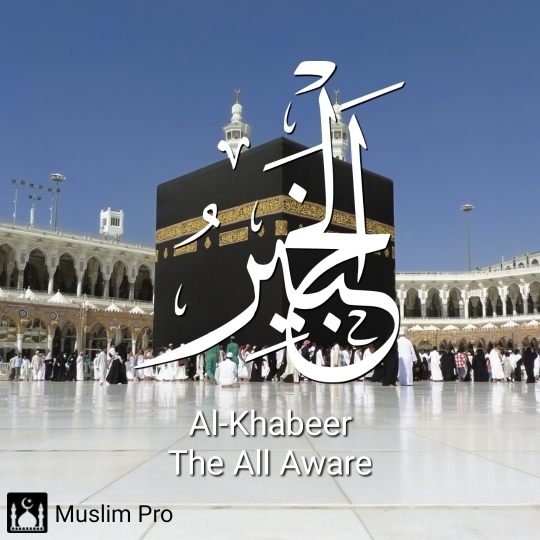 the All aware
