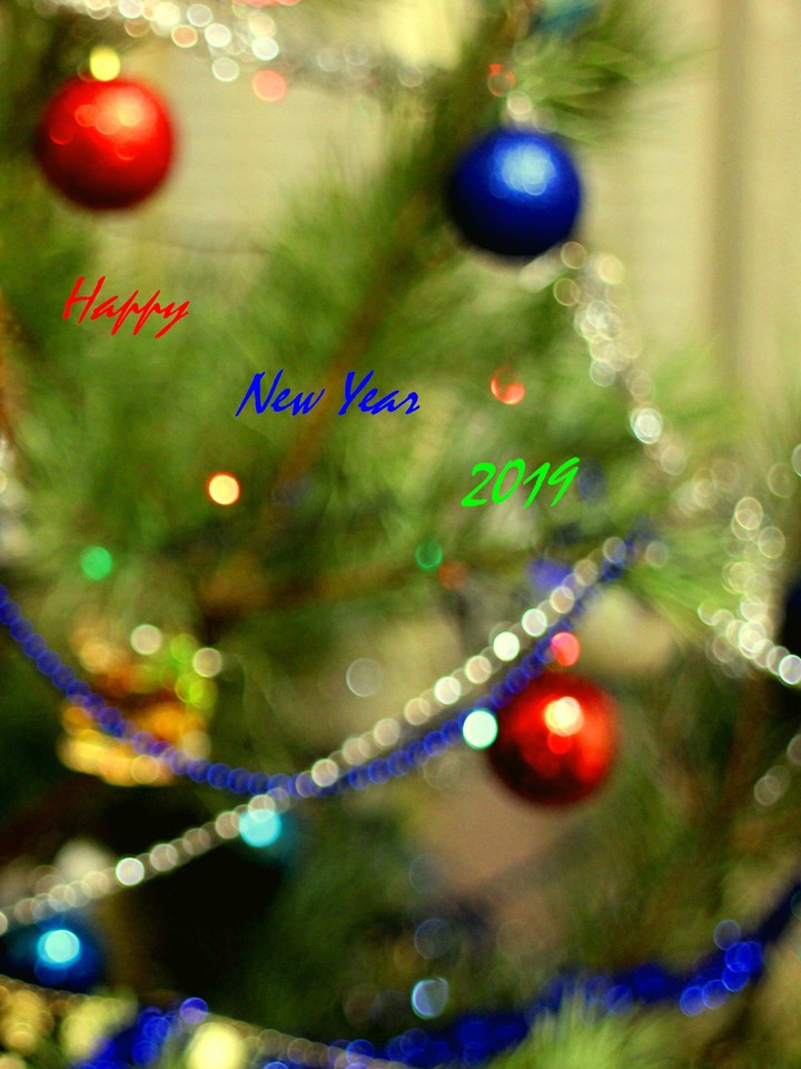 Happy New Year
