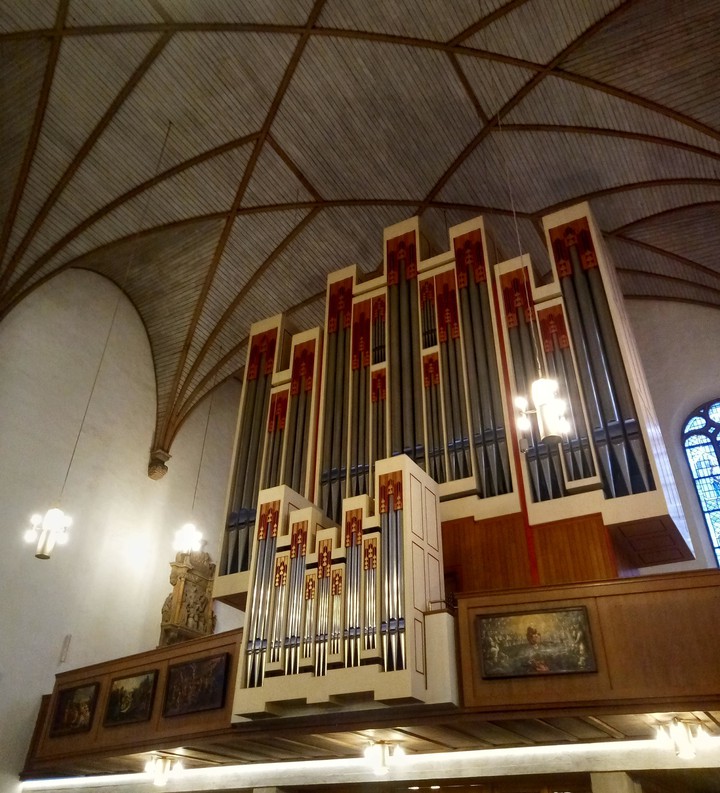 Organ