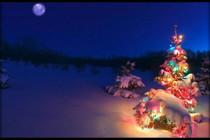colourful christmastree 