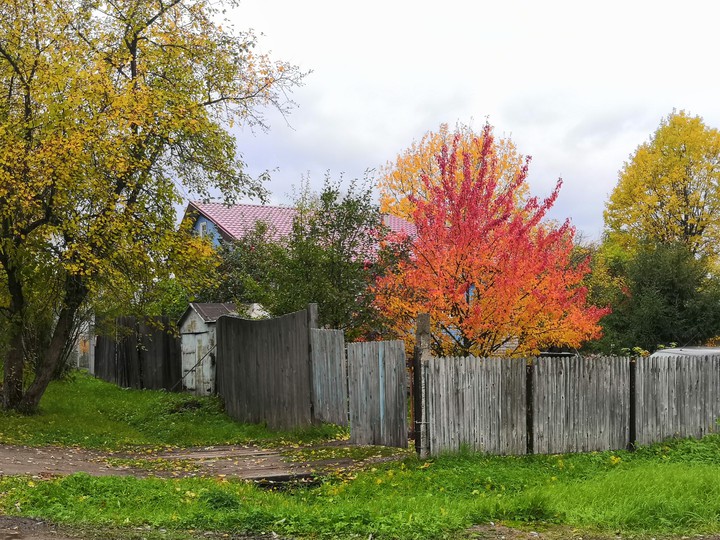 Осень