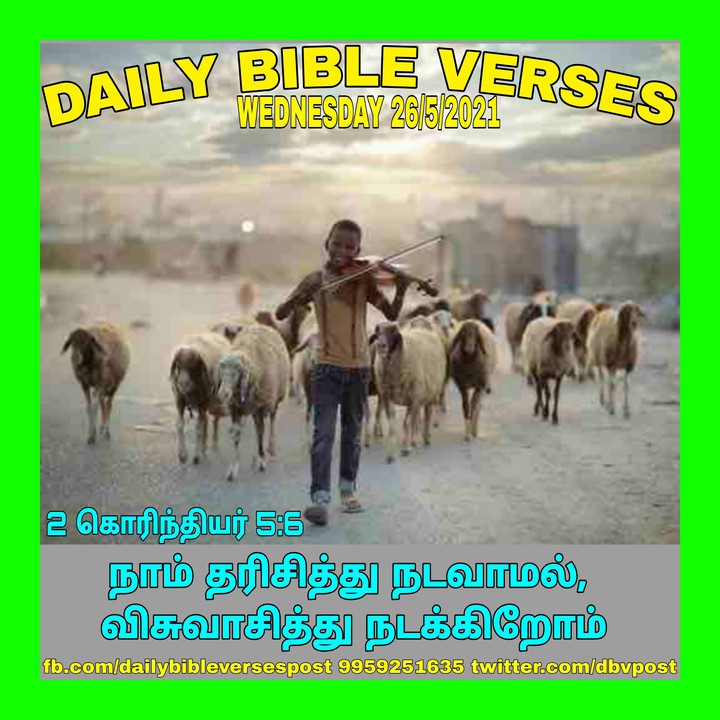 Daily Bible Verses