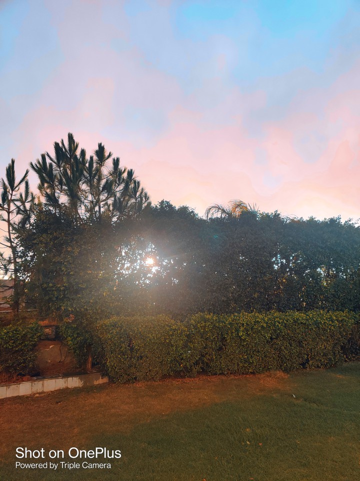 sunset