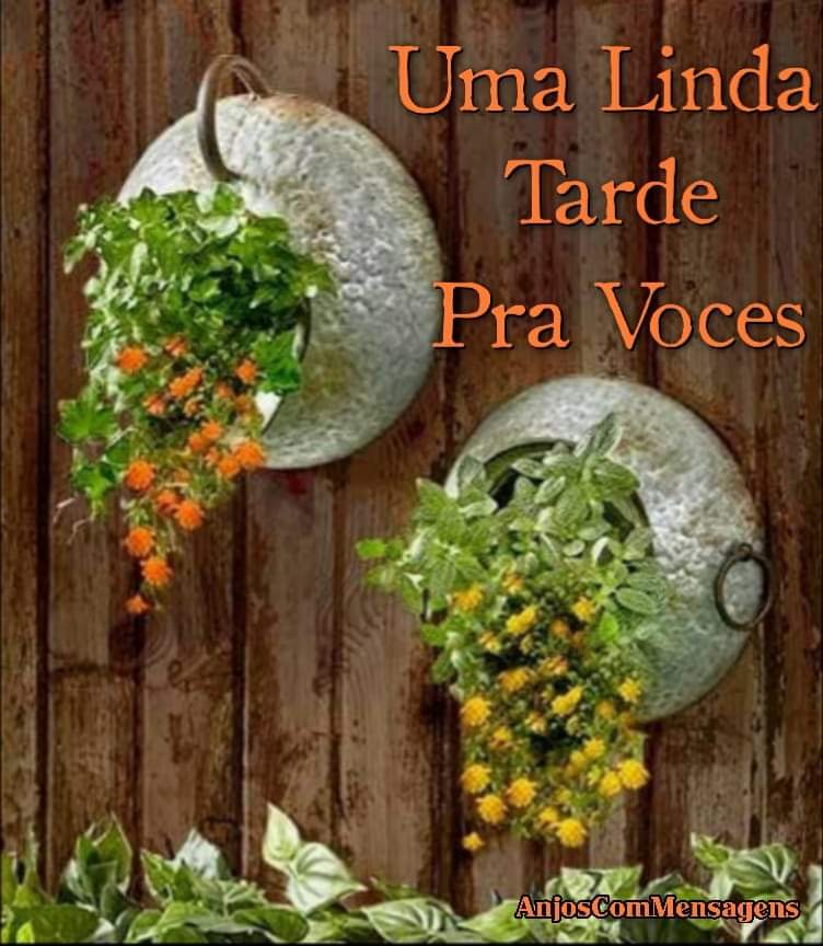 Para todos vocês amigos queridos