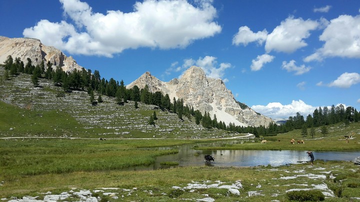 The magic of Alps