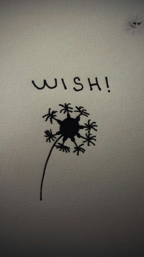 wish!