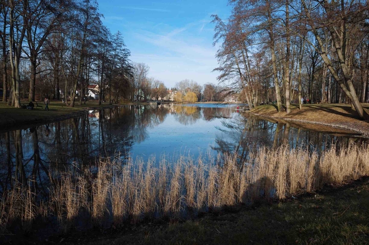 Landesgartenschau