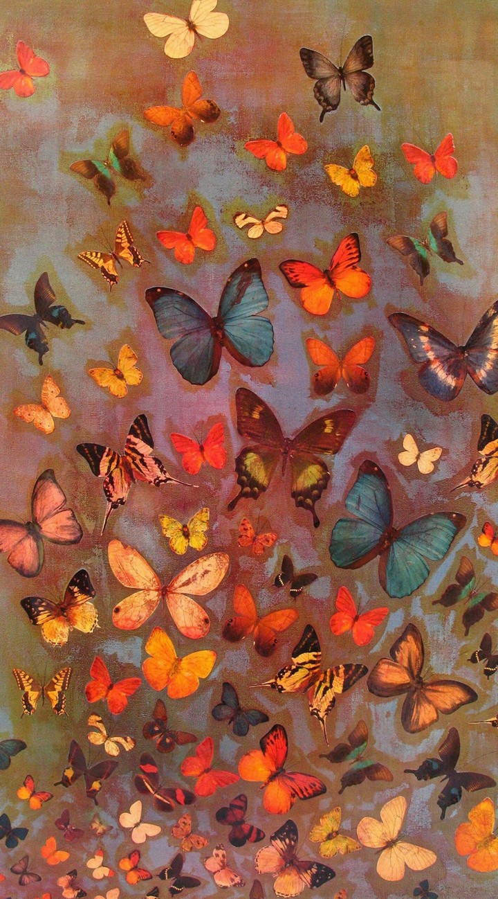 butterfly