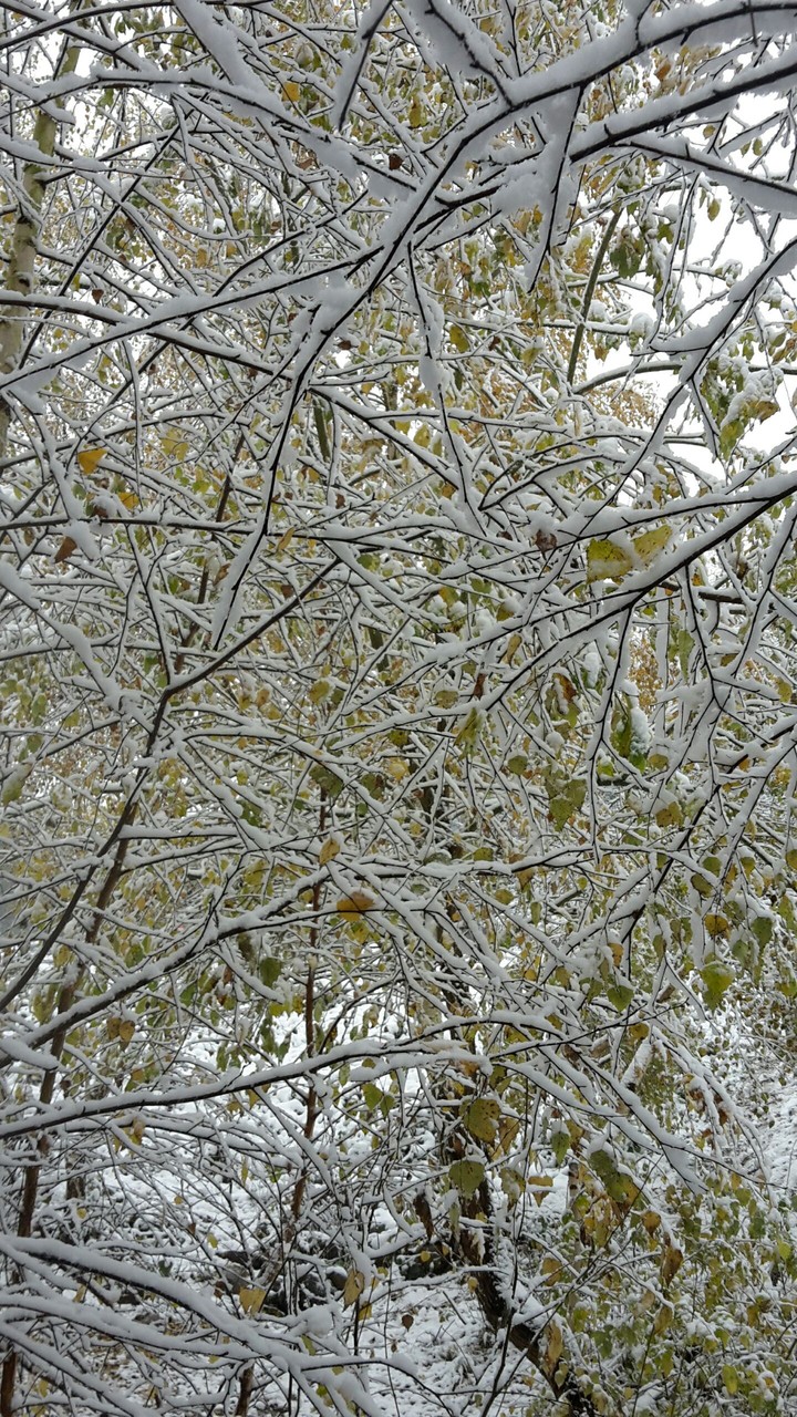 #snow