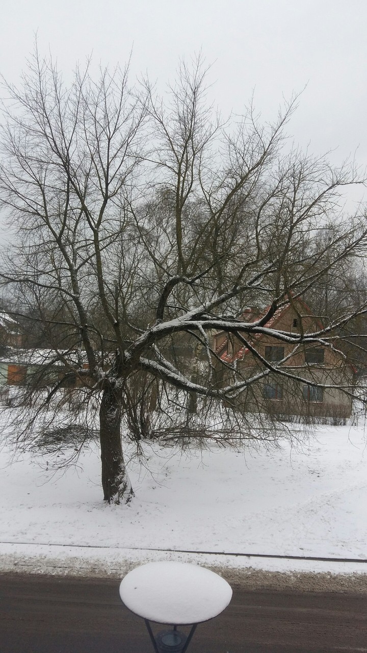 klaipeda